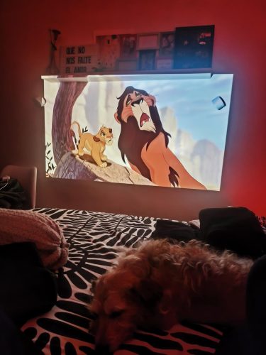 HAPPRUN YG291: Mini Electric Focus Projector photo review