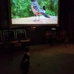 HAPPRUN H1: Klassischer 1080P-Projektor Fototest